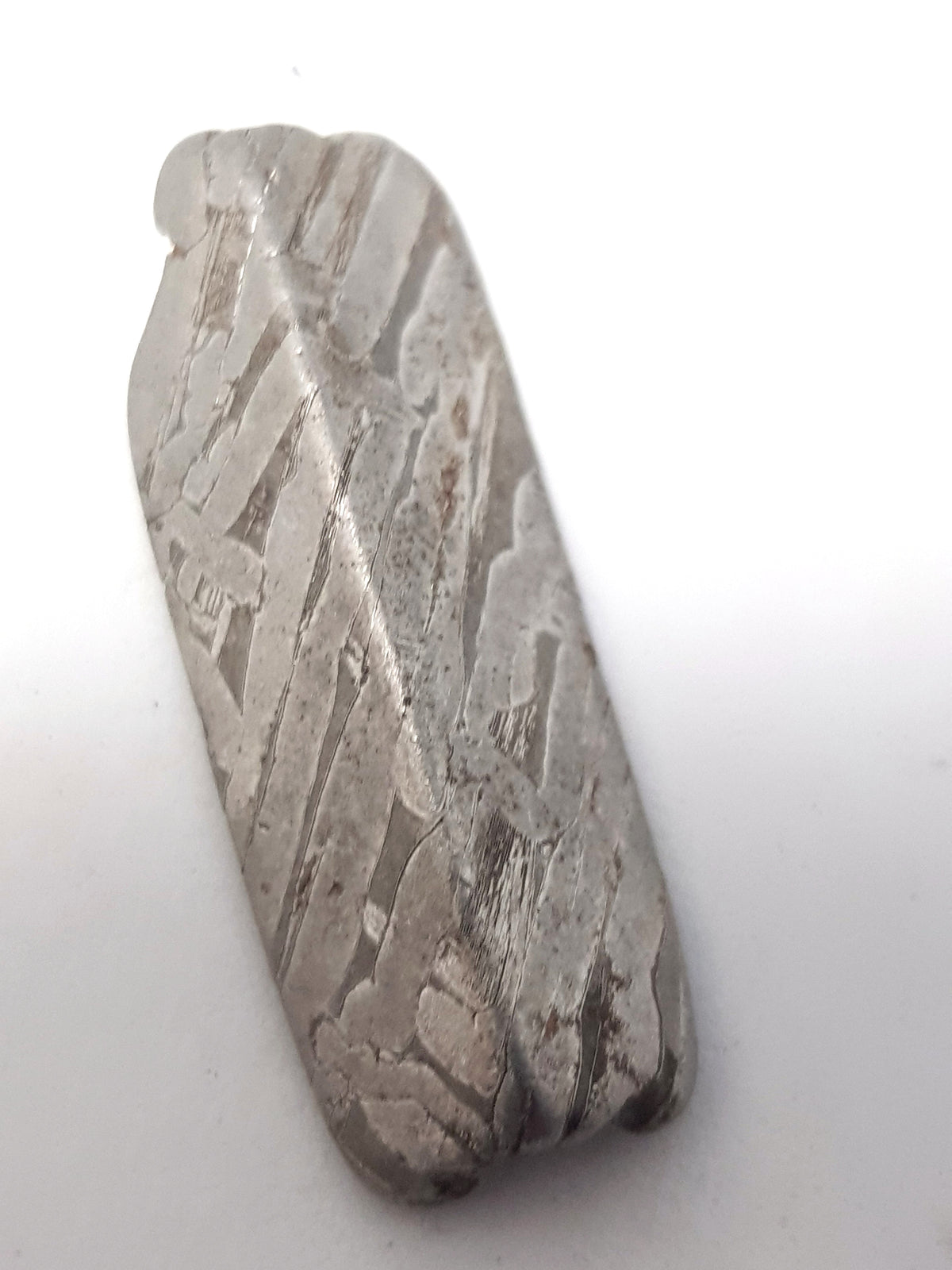 A long triangular cut section o seymchan (an iron meteorite). The widmanstatten pattern is very obvious. The sample is rough at each end.
