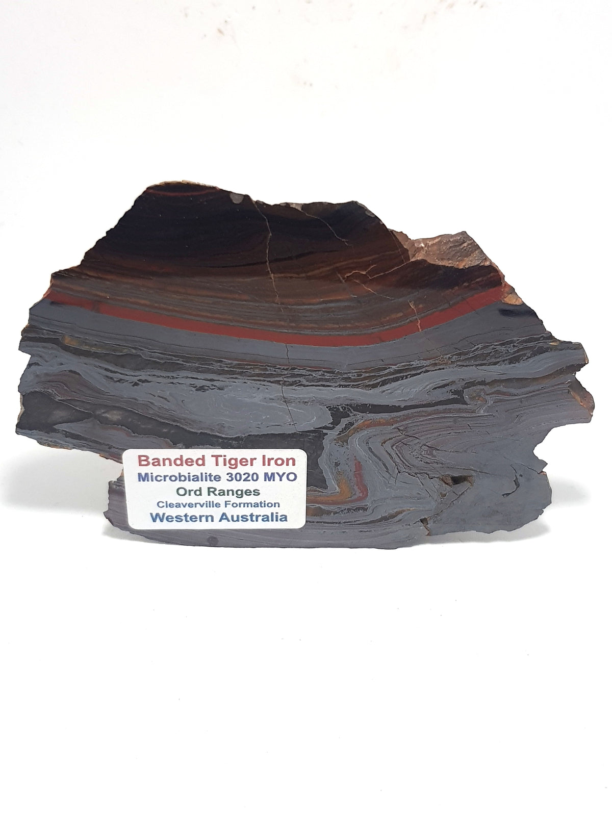 Polished banded iron slice. This is predominately silver in colour. It consists of thin silvery bands of hematite interspersed with a thick continuos band of red jasper and thinner bands of brown chert. The bands run parallel at the top of the sample. But the bottom part of the slice shows extensive folding and replacement with tiger eye.