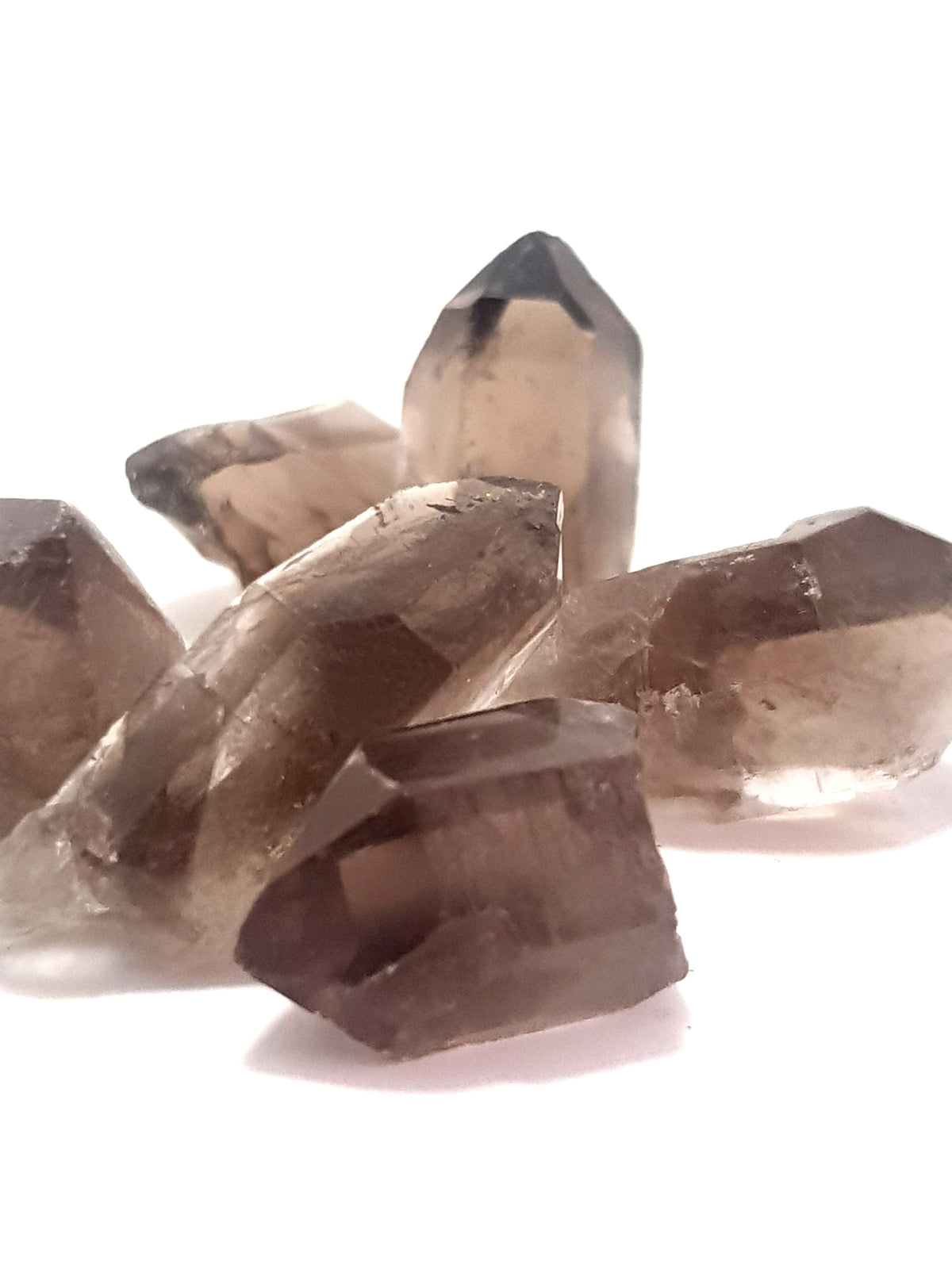 six natural points of smoky quartz. the crystals are well formed. the colour is dark. They are translucent