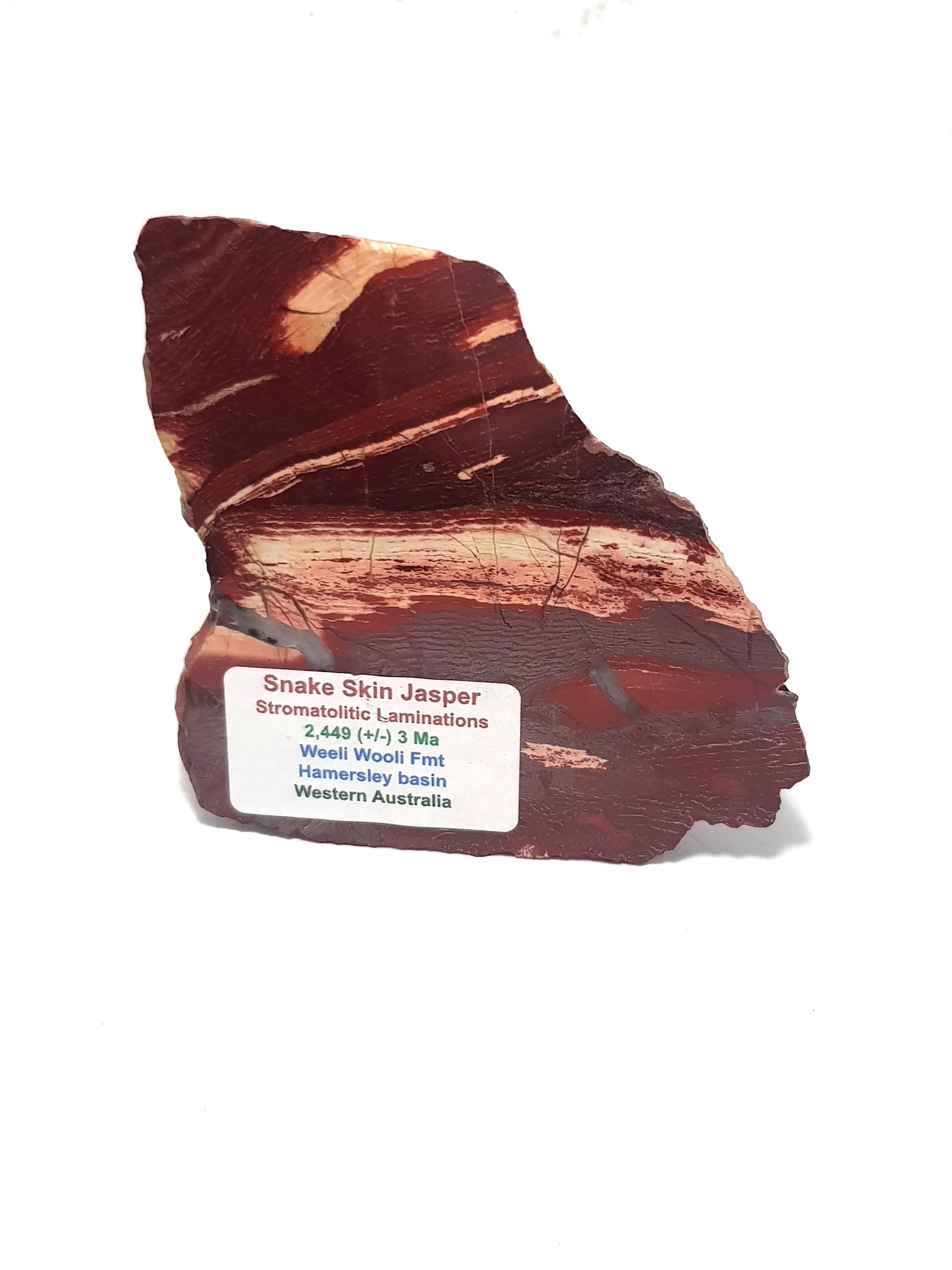 A slice of snake skin jasper. This is a predominately reddish brown material with thin bands of light pink. The bands are parallel at the bottom of the same, but cut at a 30 degree angle in the top half of the slice. The sample also has a printed label giving product information. This label is replicated in the digital entry for the sample. Snake skin jasper -- Science of magic