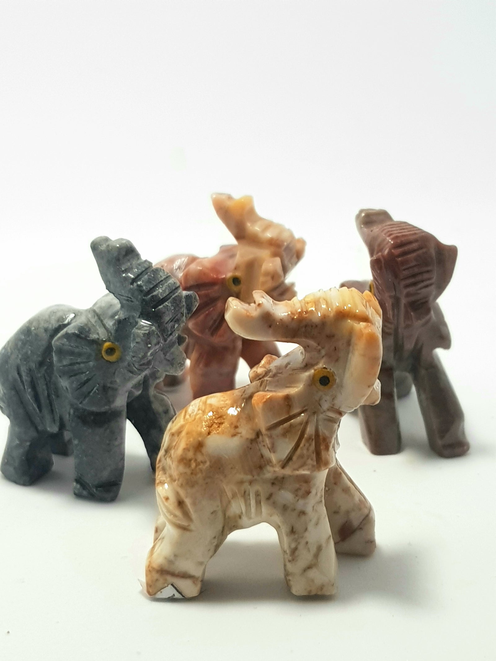 Elephant - The Science of Magic 