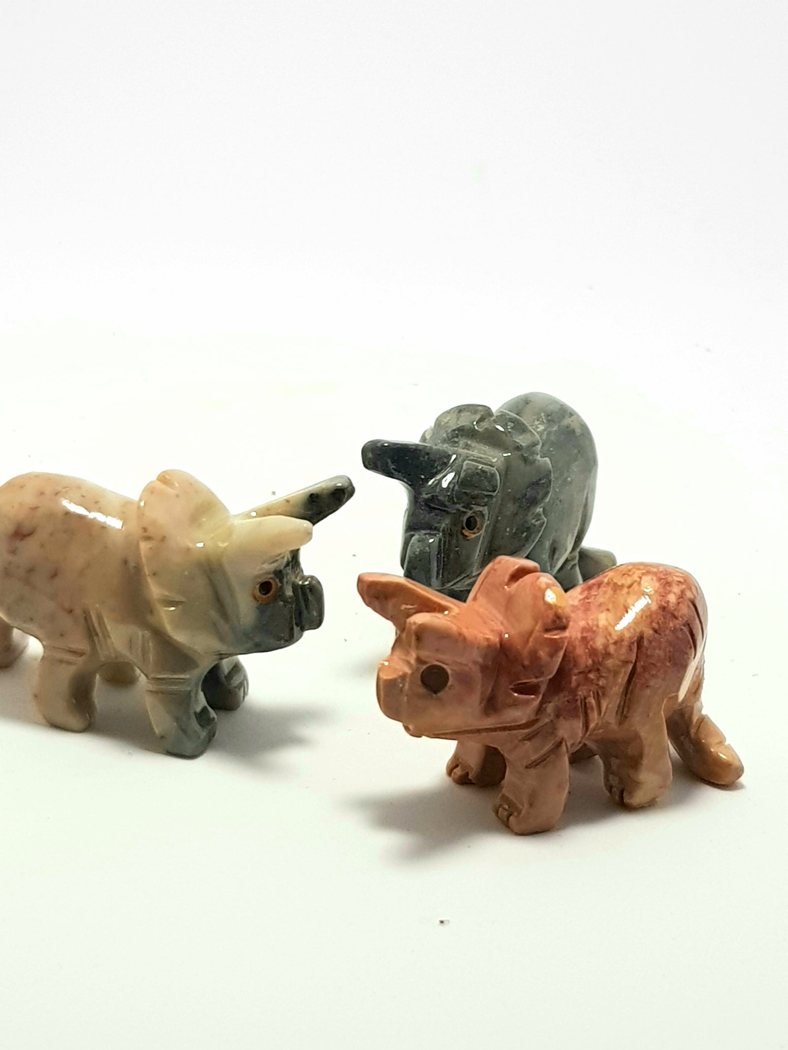 Triceratops - The Science of Magic 