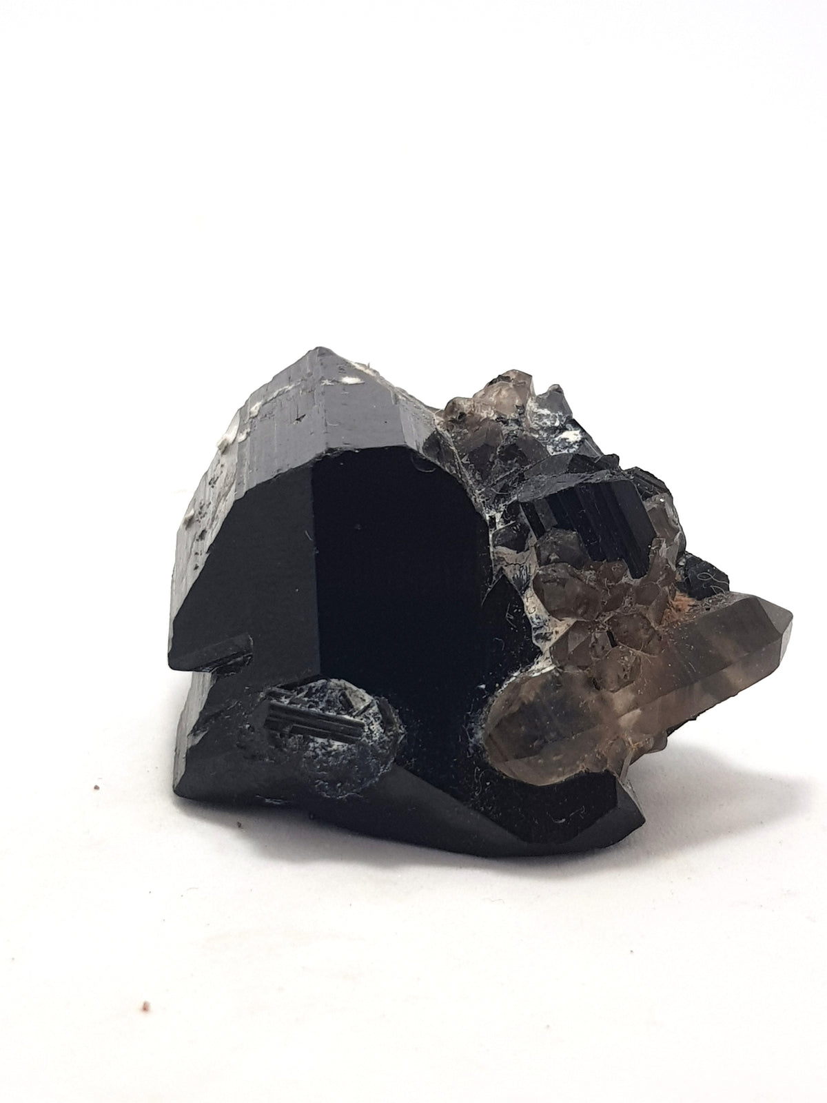 This image if of a trigonal prismatic black tourmaline crystal. It has been taken so that the termination is visible. There is a double terminated smoky quartz crystal growing in association. it is on the bottom right hand side.
